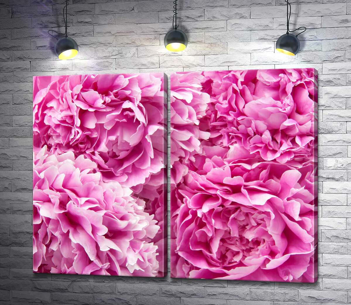 модульная картина Роскошные головки розовых пионов
