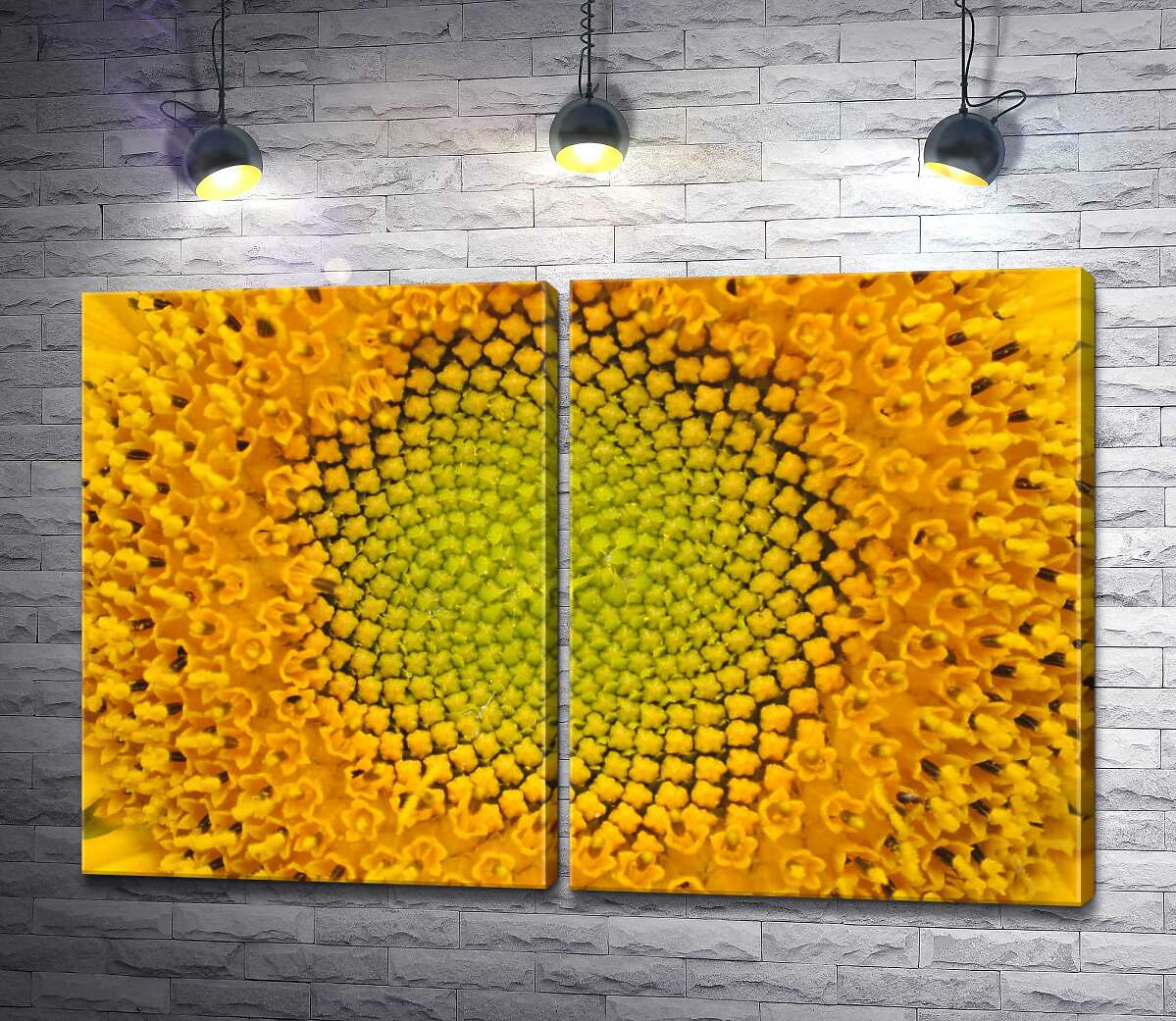 модульна картина Симетричність орнаменту серединки соняшника