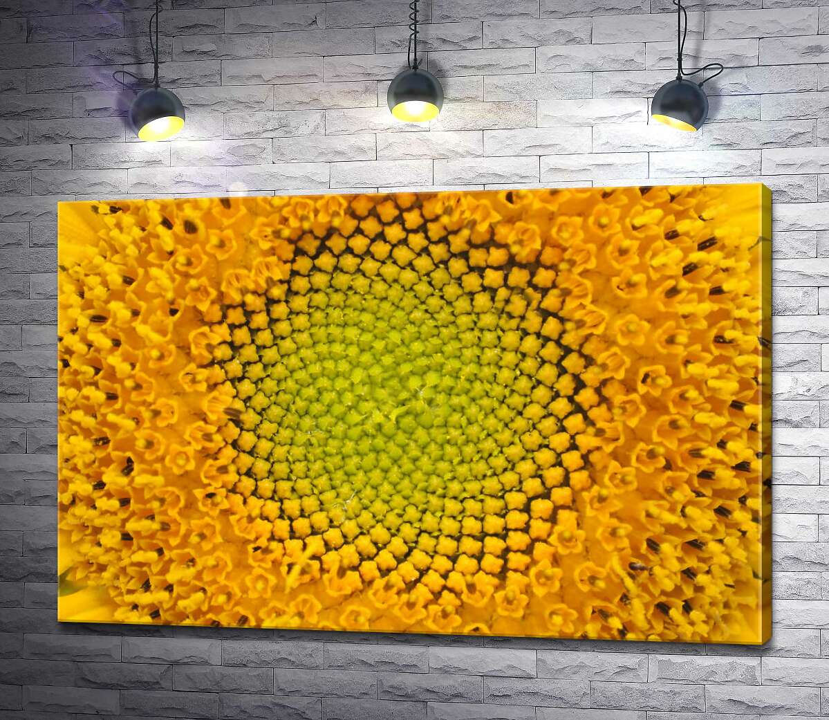 картина Симетричність орнаменту серединки соняшника