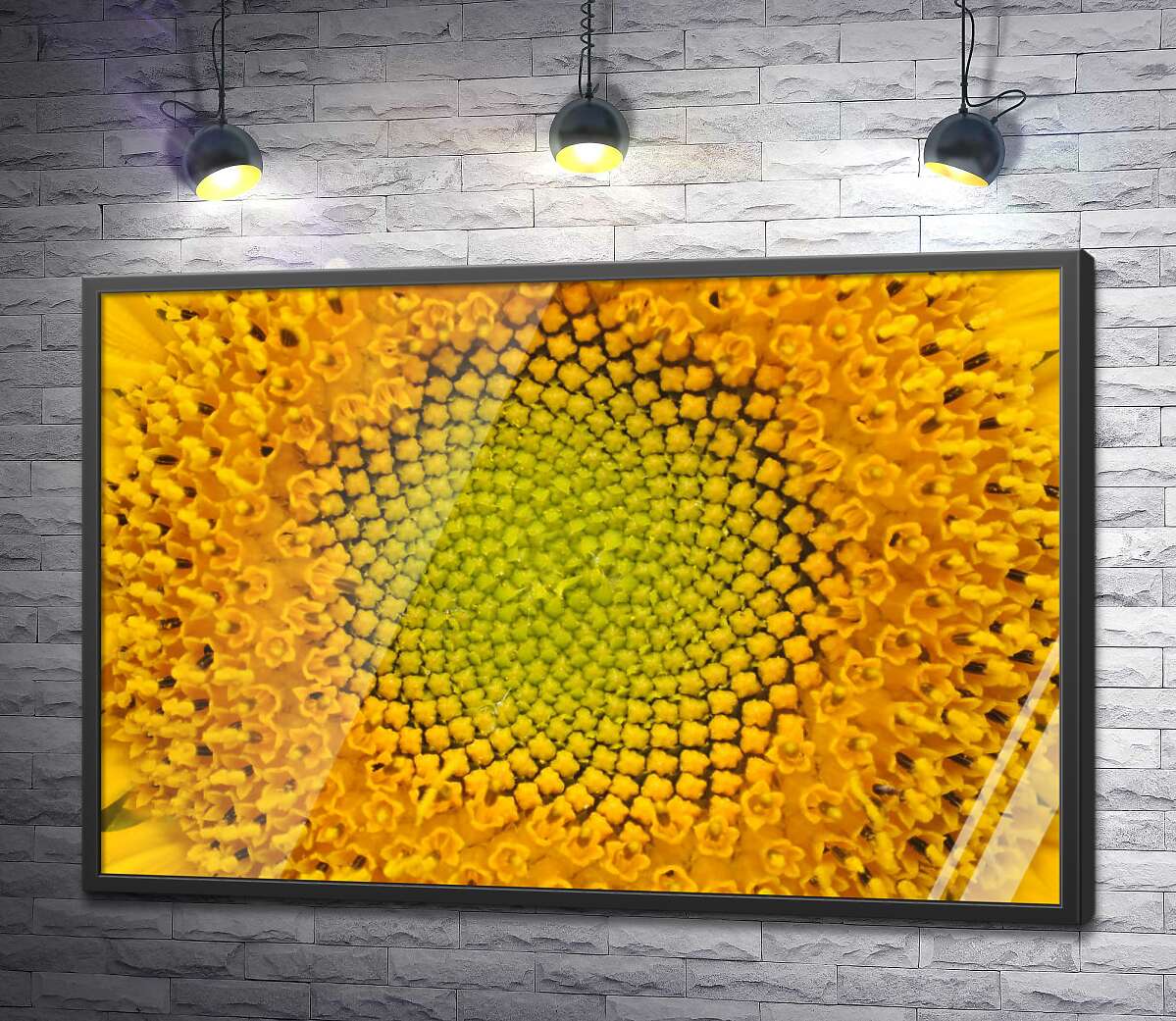 постер Симетричність орнаменту серединки соняшника
