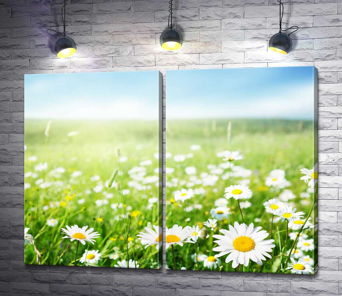 модульная картина Белоснежно чистые цветы ромашек в зеленом поле