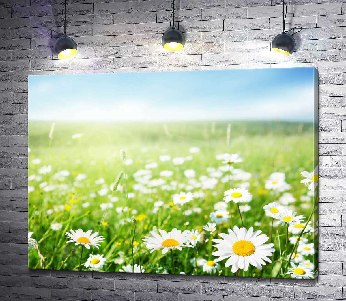 картина Белоснежно чистые цветы ромашек в зеленом поле