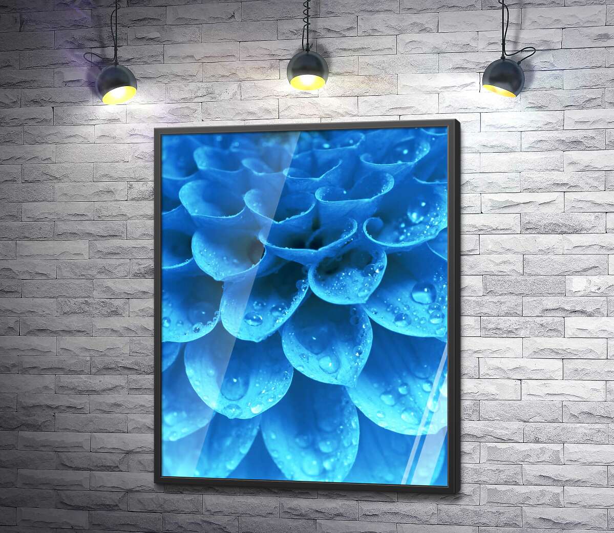 постер Слои хрупких лепестков голубой георгины