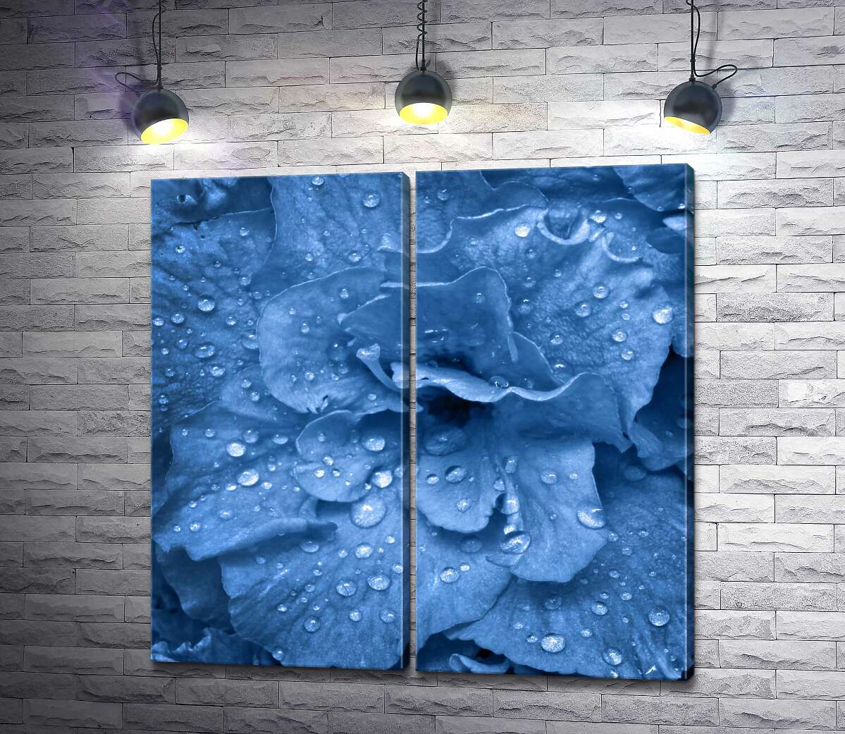 модульная картина Голубой цветок гортензии покрытый каплями росы