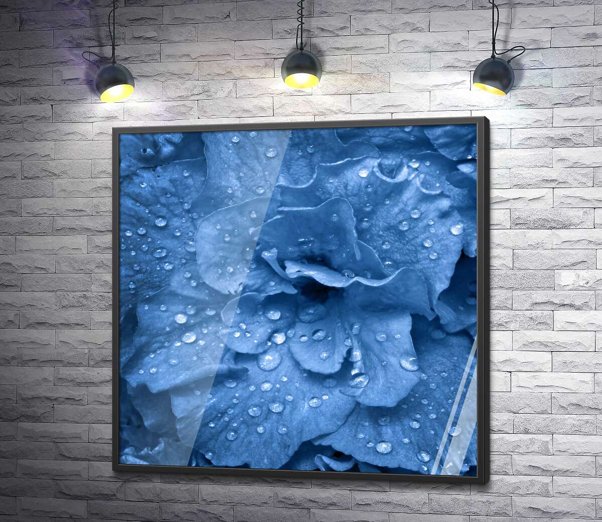 постер Голубой цветок гортензии покрытый каплями росы