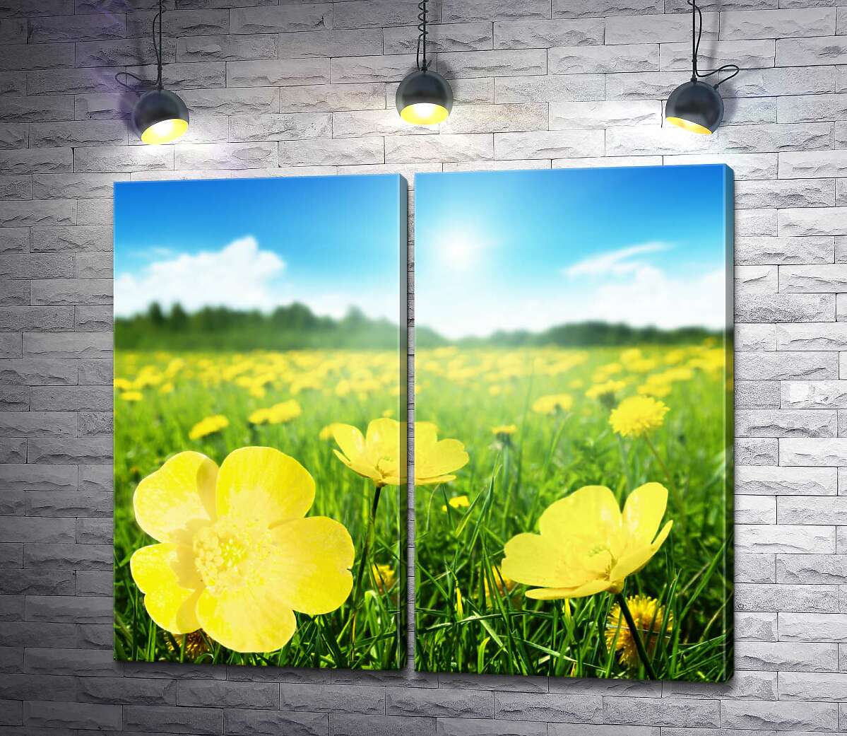 модульна картина Яскраві краплі жовтих квітів жовтецю на зеленому килимі трави