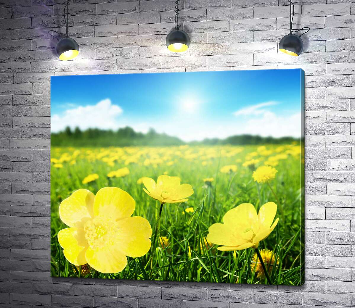 картина Яскраві краплі жовтих квітів жовтецю на зеленому килимі трави