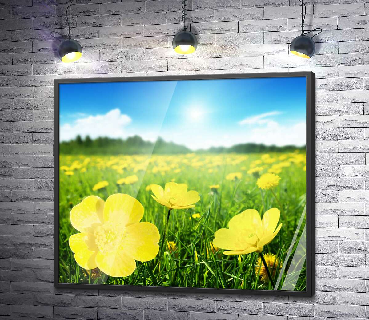 постер Яскраві краплі жовтих квітів жовтецю на зеленому килимі трави