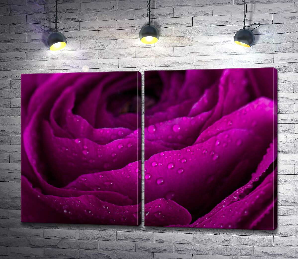 модульная картина Пышная роза цвета бордовой страсти