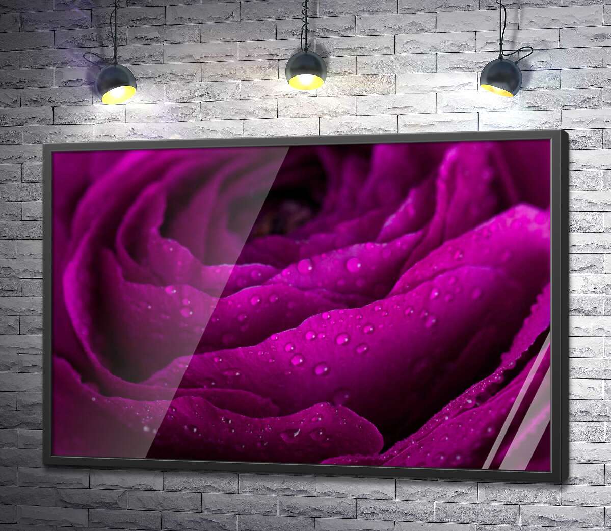 постер Пышная роза цвета бордовой страсти