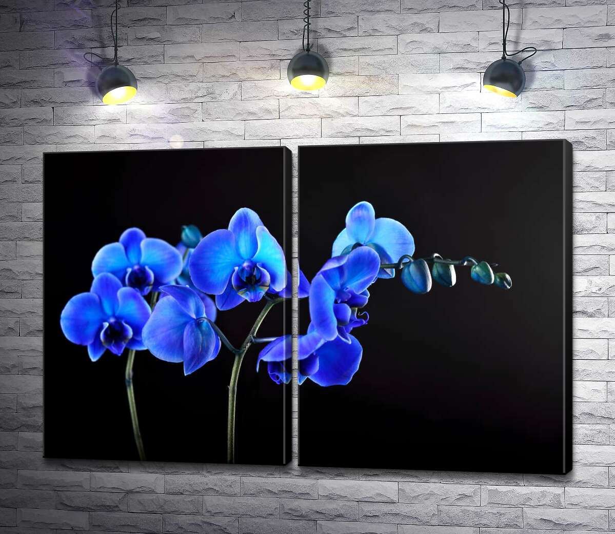 модульная картина Яркие цветы голубой орхидеи