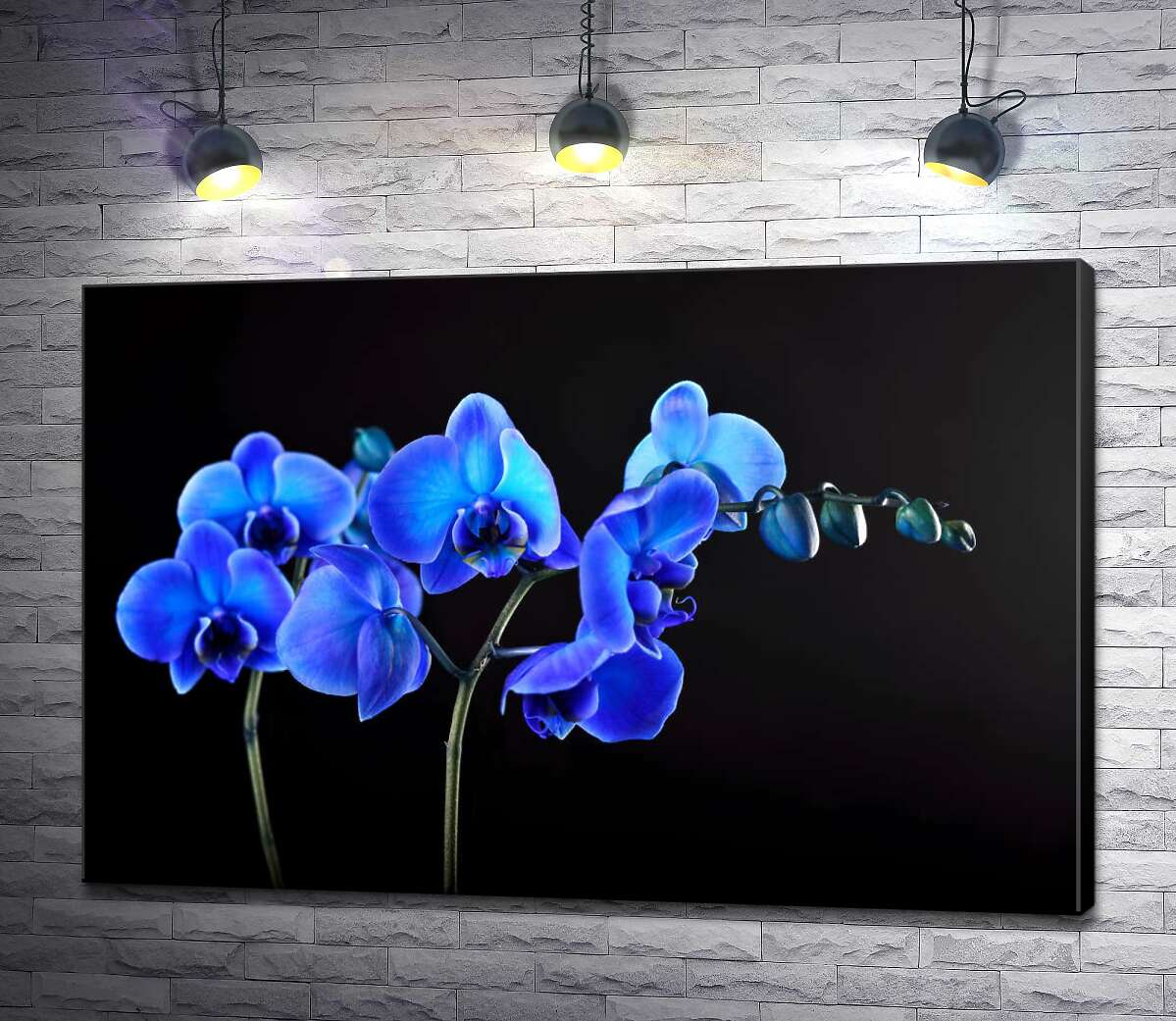 картина Яркие цветы голубой орхидеи