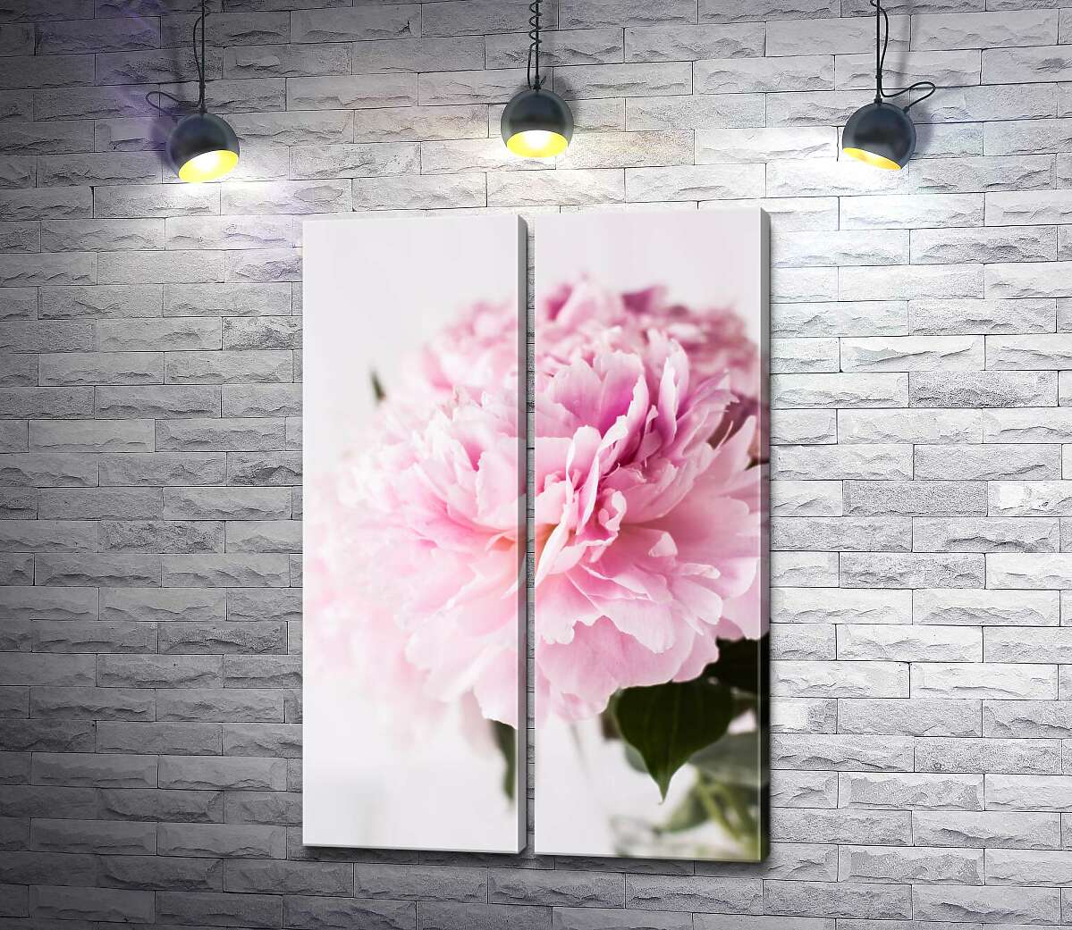 модульная картина Величественный цветок розового пиона