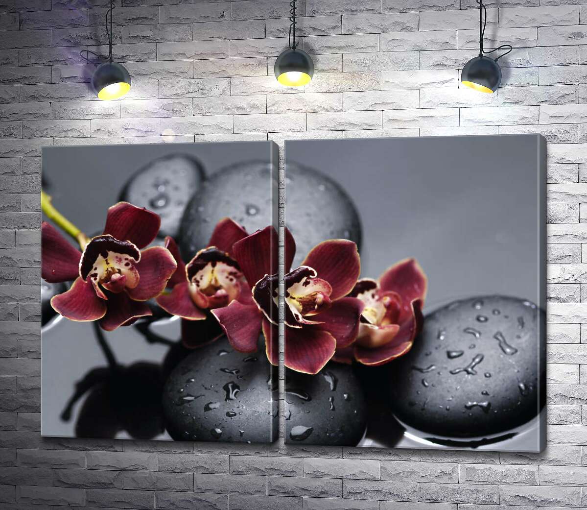 модульная картина Насыщенный цвет экзотических орхидей