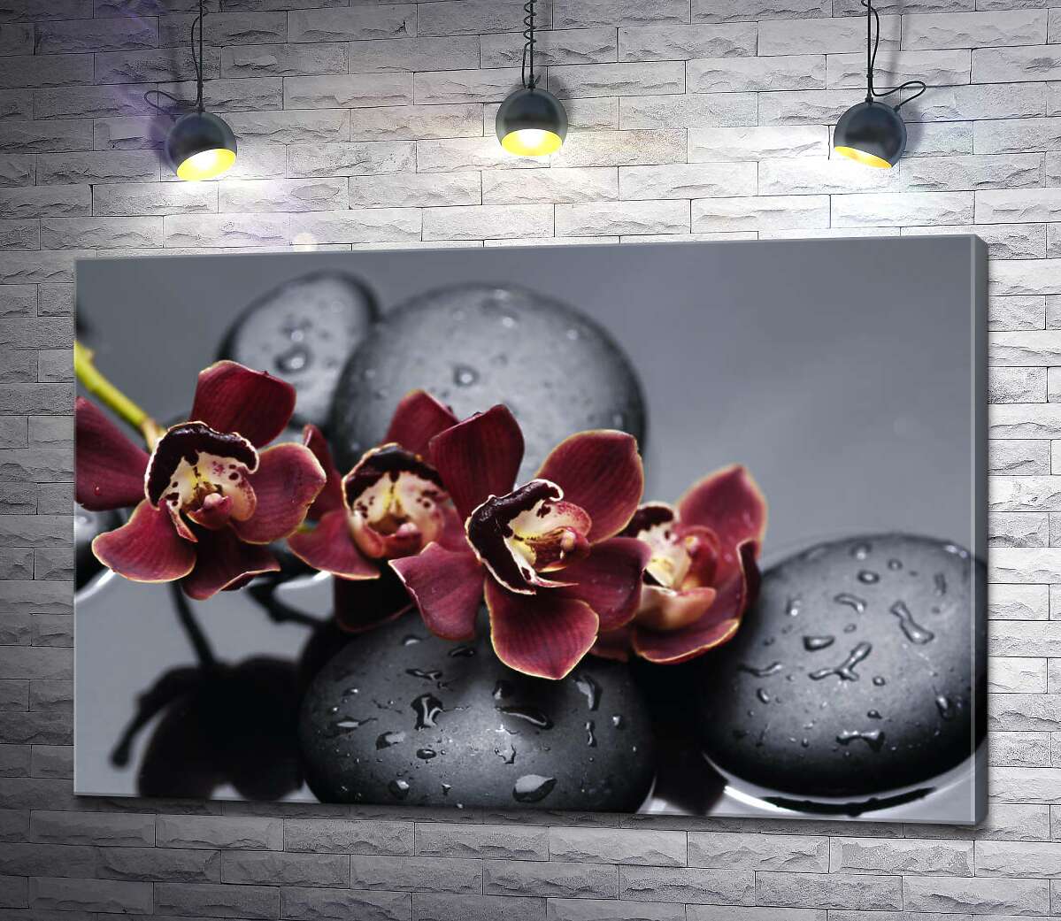 картина Насичений колір екзотичних орхідей