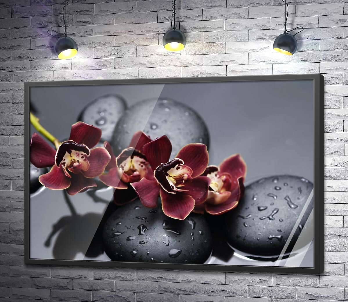 постер Насичений колір екзотичних орхідей