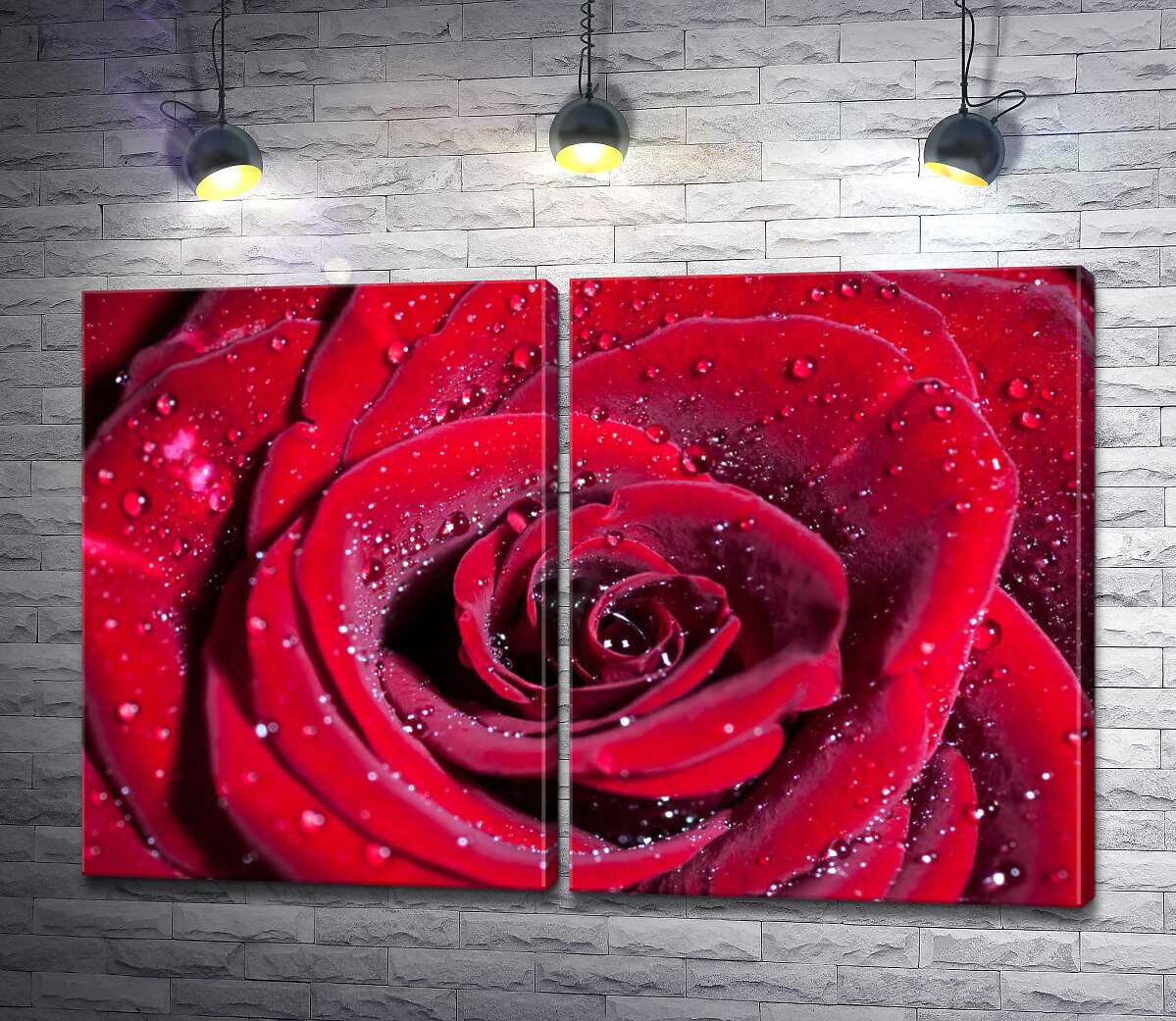 модульна картина Багряні пелюстки троянди зрошені прозорою росою