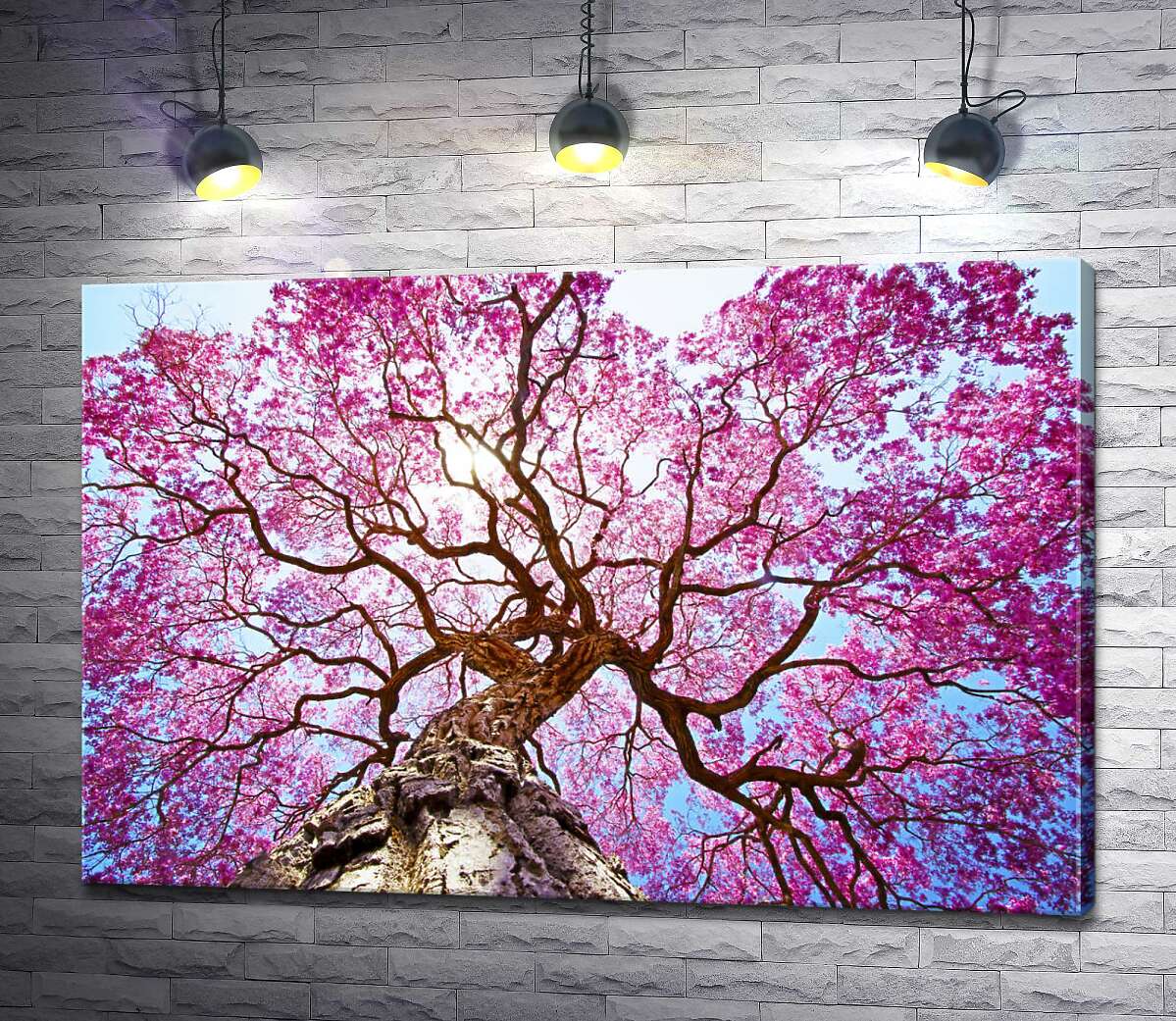 картина Густая крона высокого дерева покрыта розовым цветением