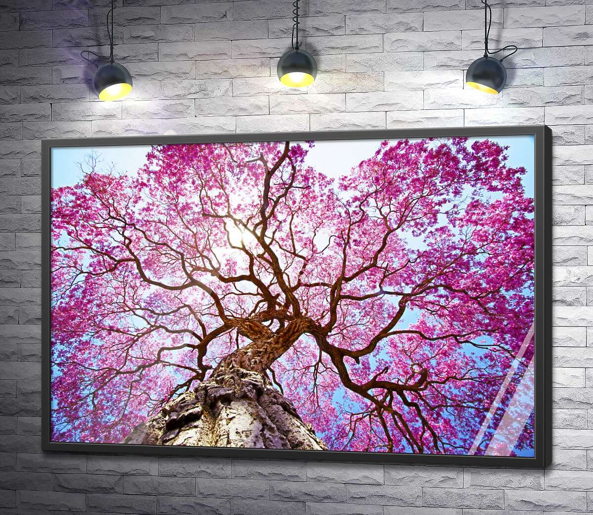 постер Густая крона высокого дерева покрыта розовым цветением