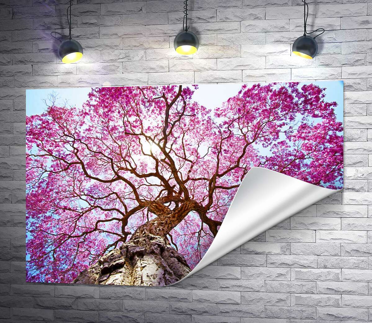 печать Густая крона высокого дерева покрыта розовым цветением