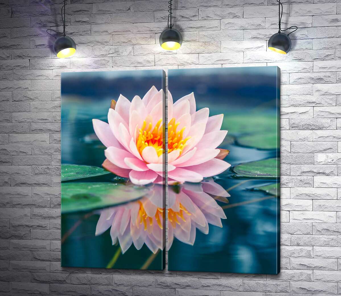 модульная картина Пышный цветок лотоса плавает в прозрачной воде