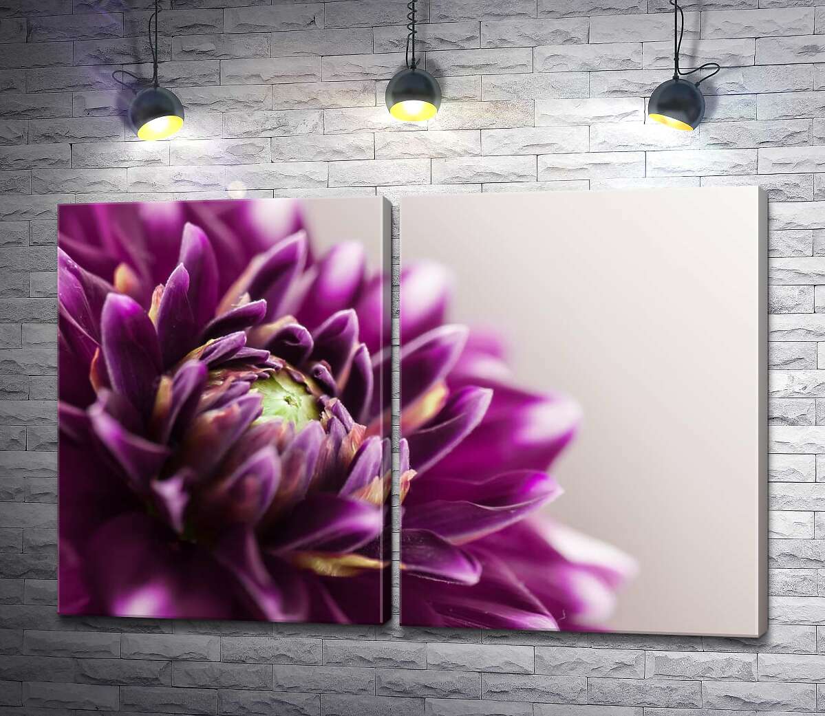 модульная картина Роскошная середина пурпурного цветка георгины