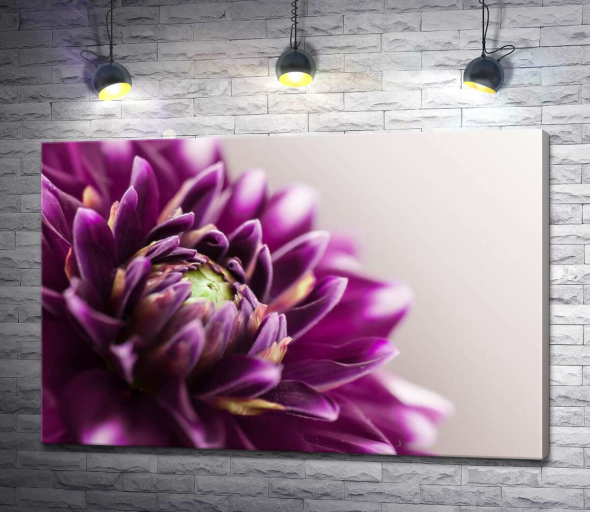 картина Розкішна середина пурпурової квітки жоржини
