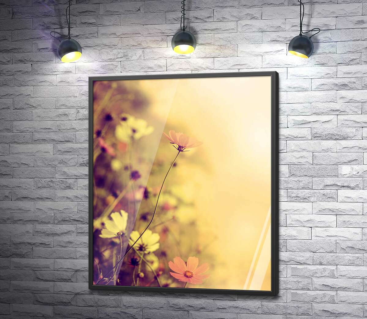постер Тендітні квіти космеї у пастельних тонах