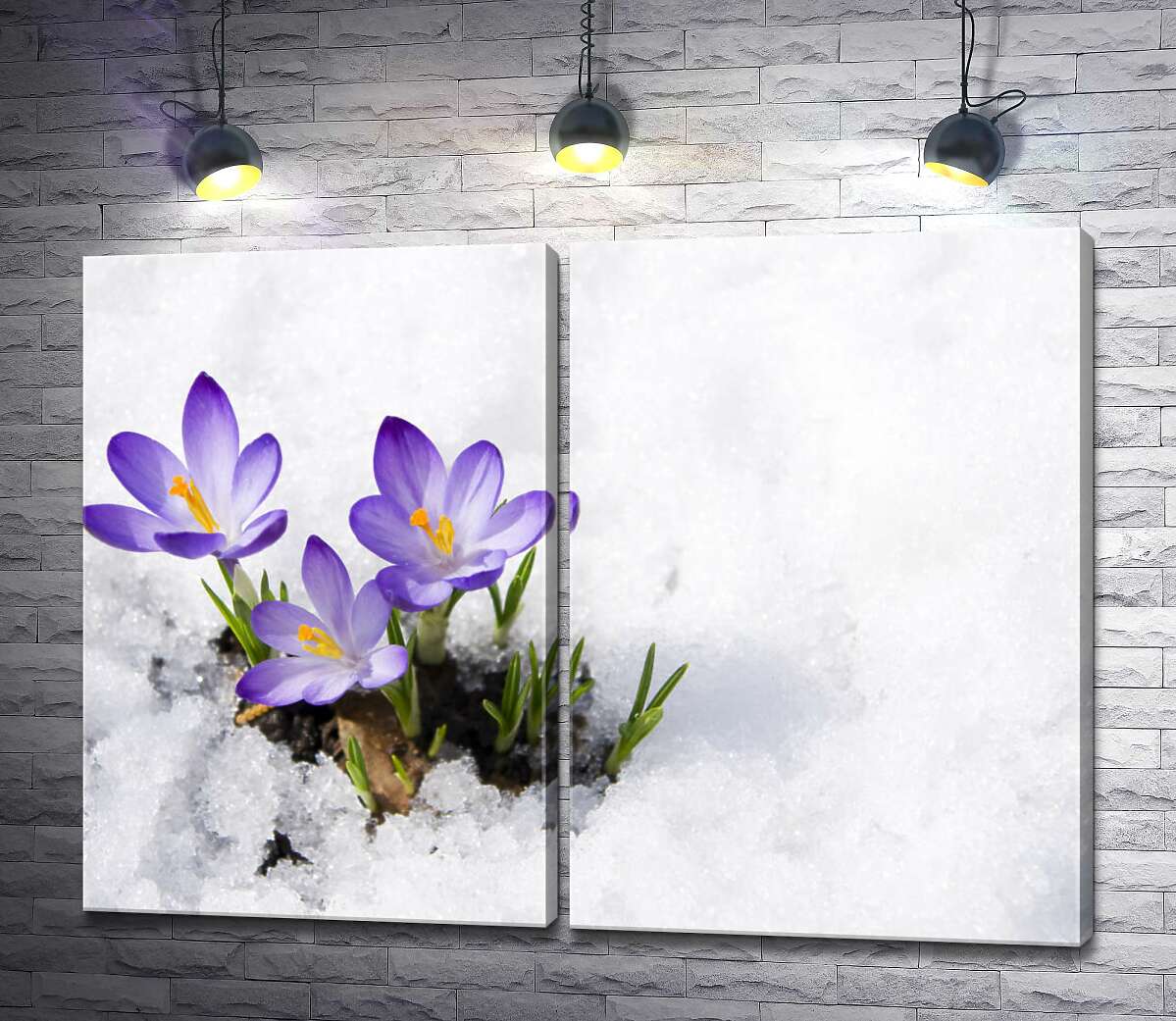 модульна картина Весняні крокуси сміливо пробиваються крізь сніг