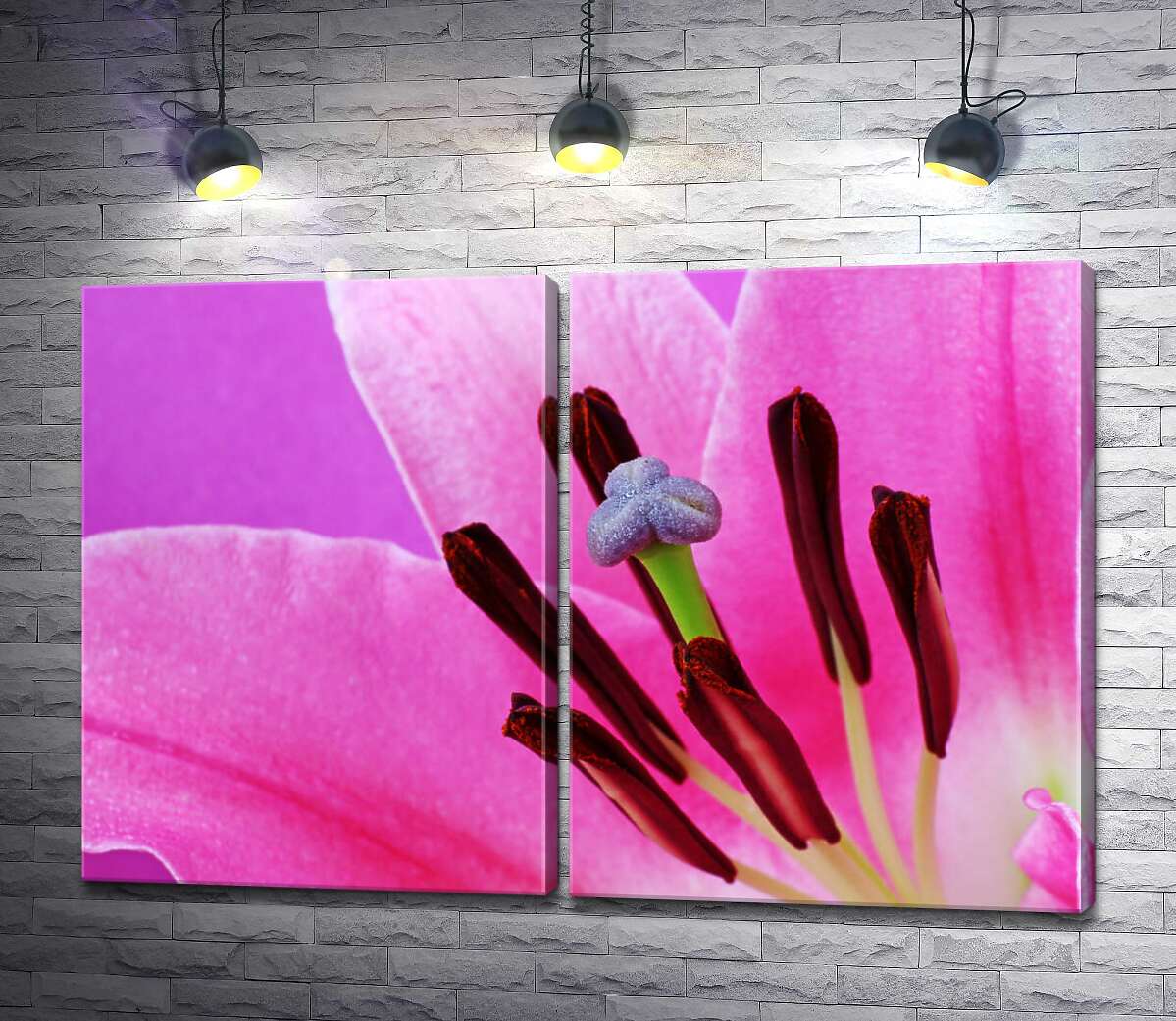 модульна картина Яскрава серединка рожевої лілії