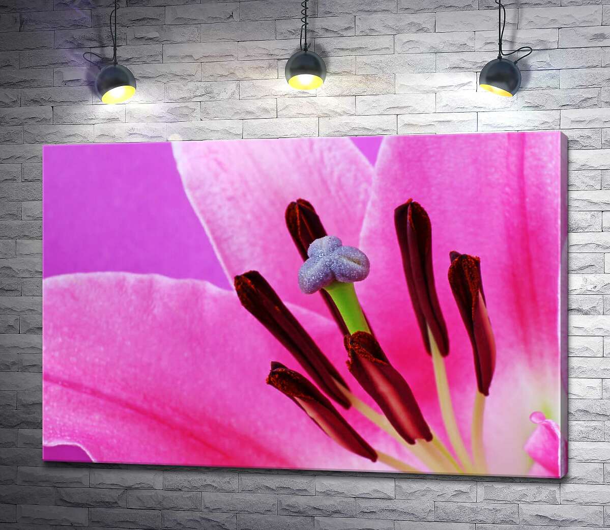 картина Яркая серединка розовой лилии