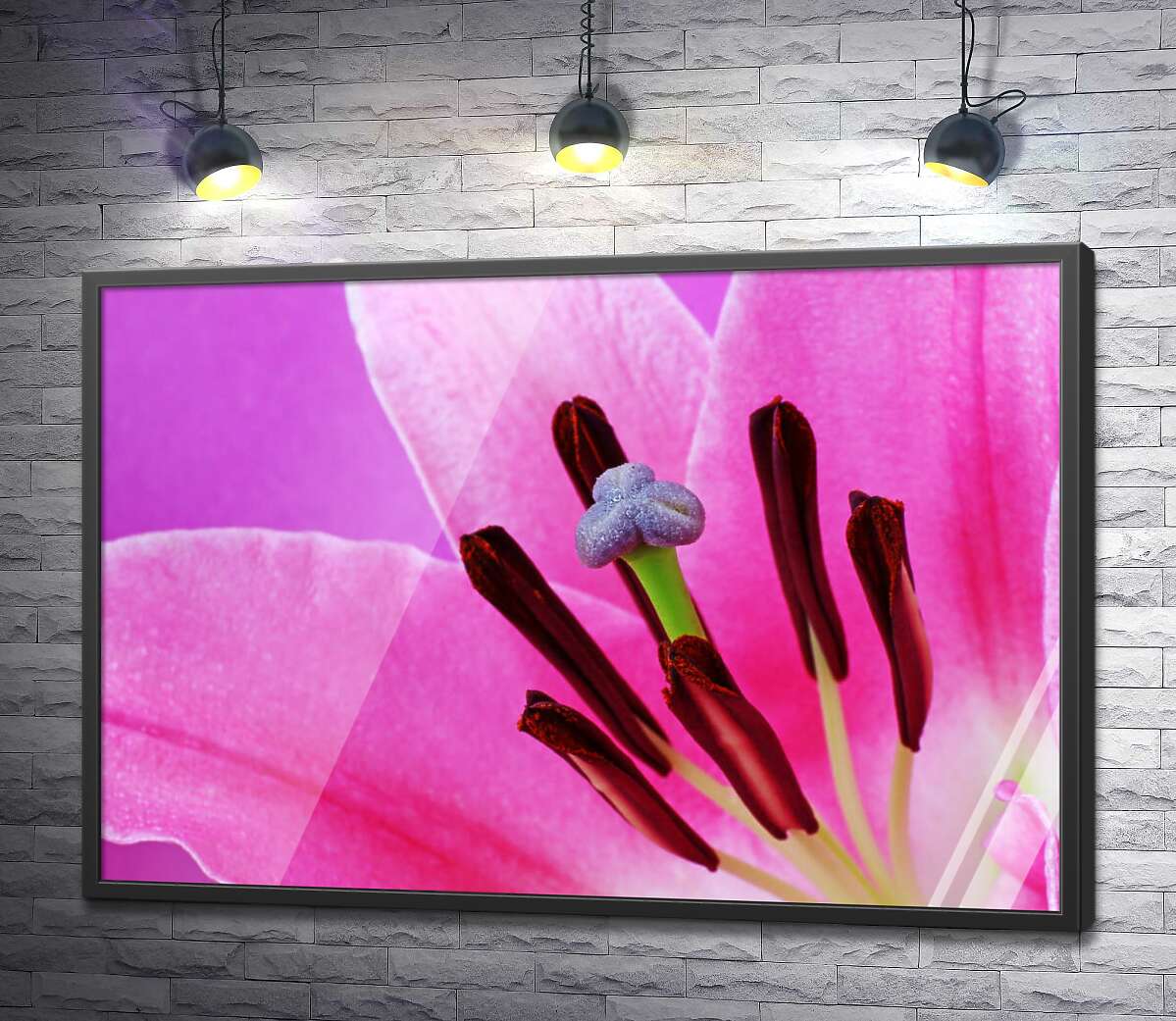 постер Яркая серединка розовой лилии
