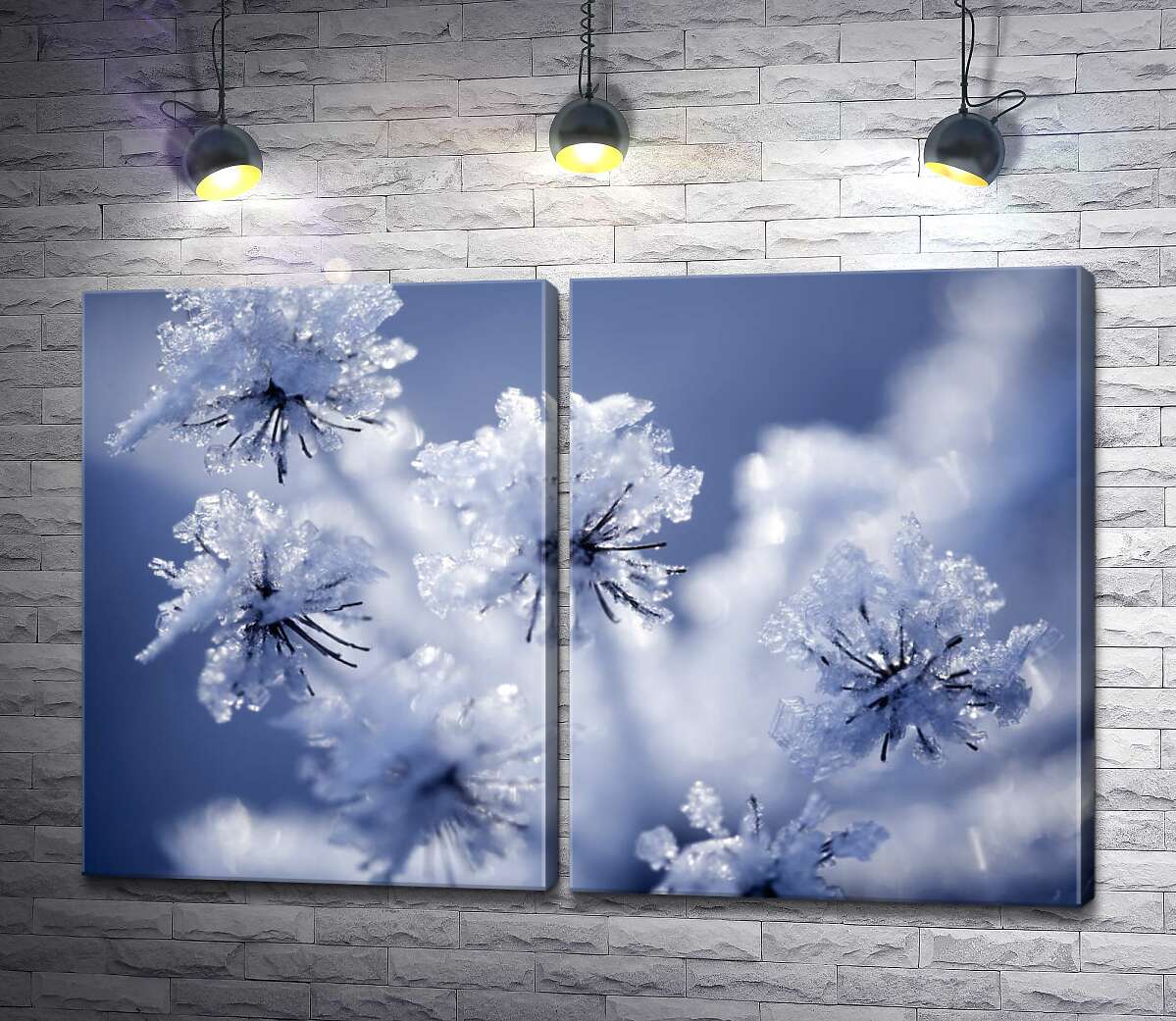 модульна картина Тоненькі голівки квітів присипані снігом