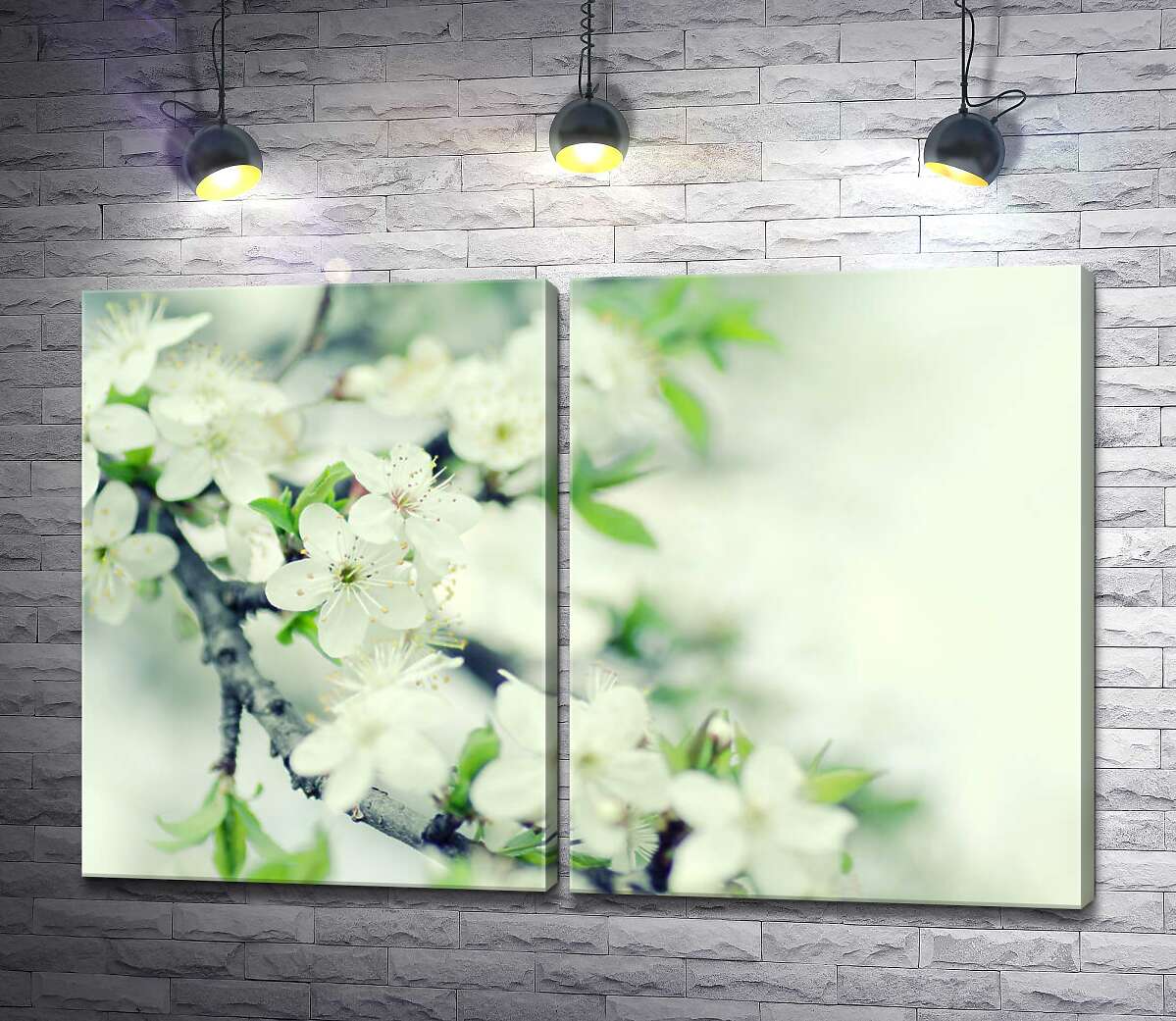 модульная картина Ветка вишни зацвела белыми нежными цветами