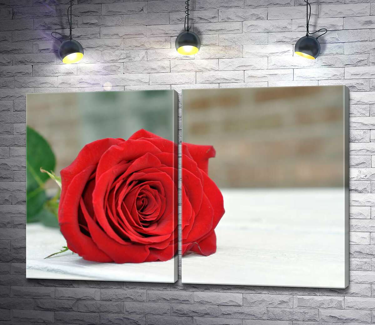 модульная картина Красная роза лежит на белом столе