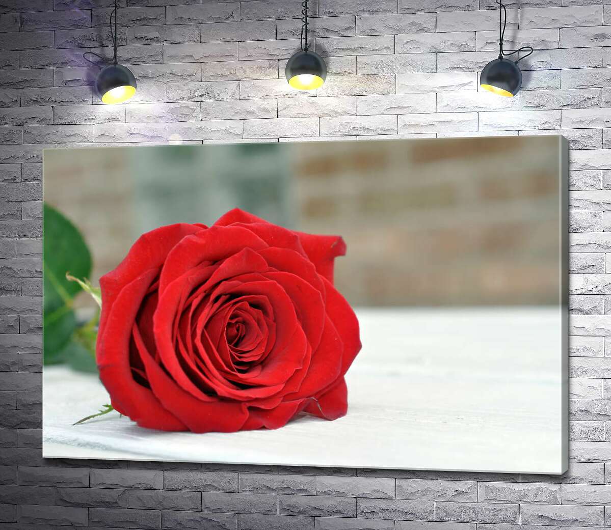 картина Красная роза лежит на белом столе