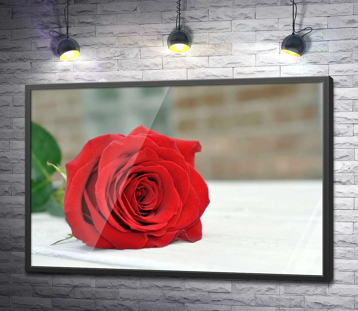 постер Красная роза лежит на белом столе