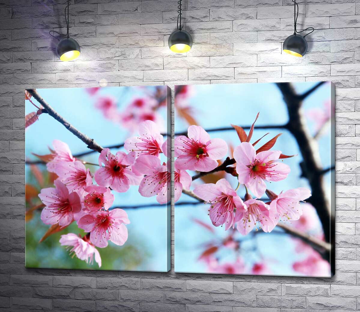 модульная картина Хрупкие розовые цветы сакуры