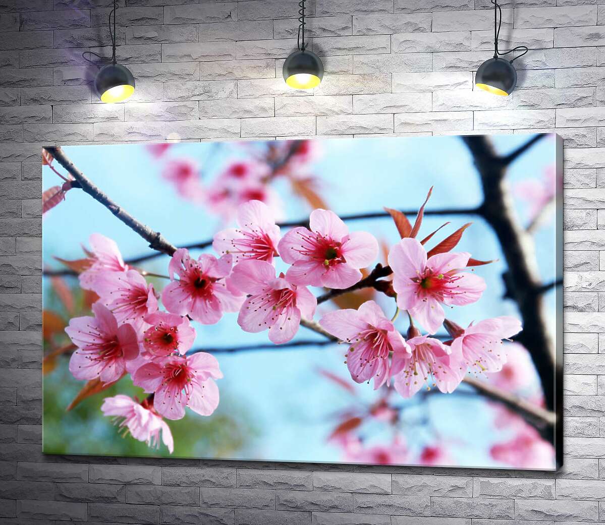 картина Хрупкие розовые цветы сакуры