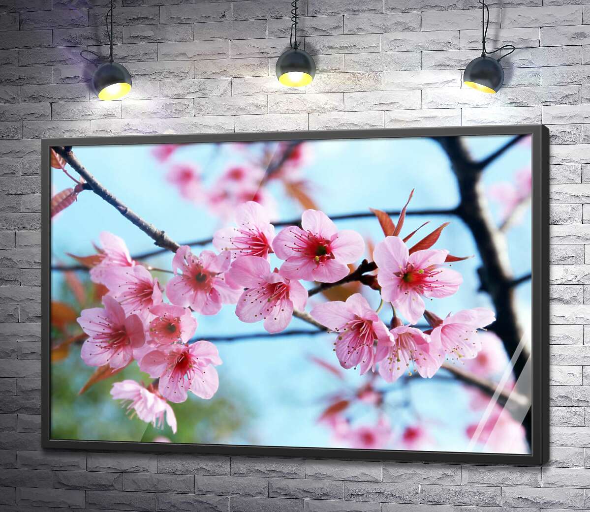 постер Тендітні рожеві квіти сакури