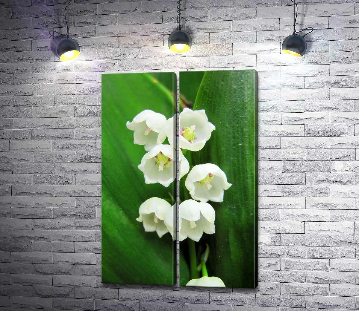 модульна картина Кругленькі голівки білих квітів конвалії