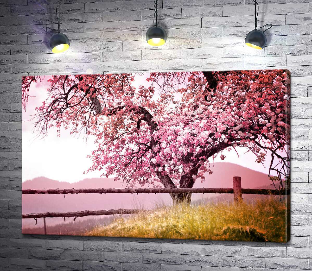 картина Весняне дерево в рожевих квітах кидає тінь на паркан
