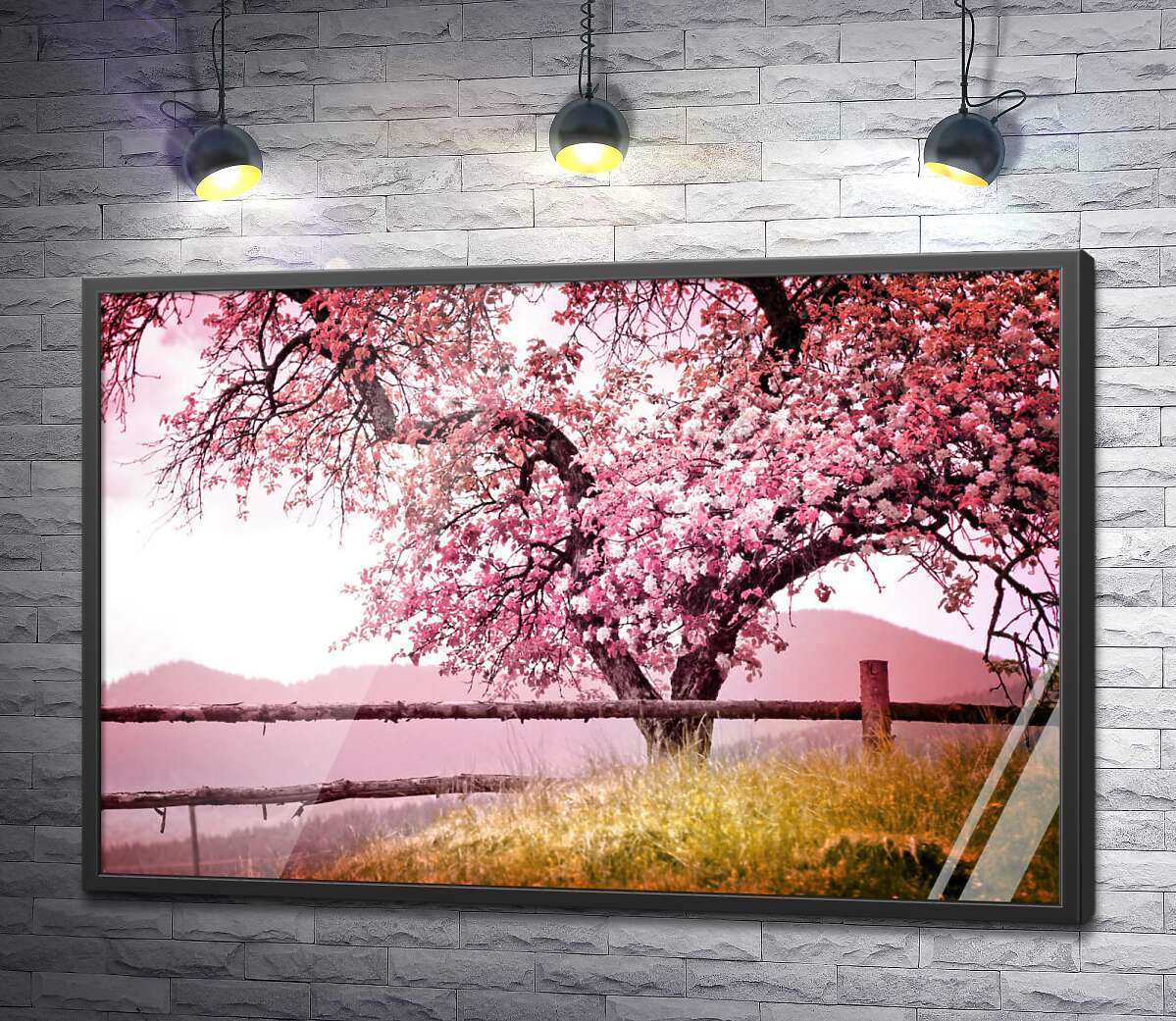 постер Весеннее дерево в розовых цветах бросает тень на забор