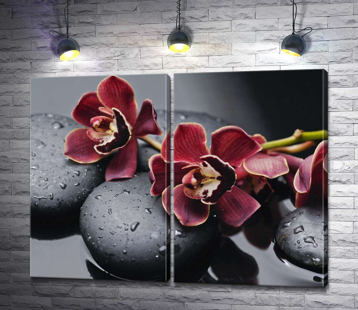 модульная картина Бархатные цветы орхидей лежат на гладких камнях угольного цвета