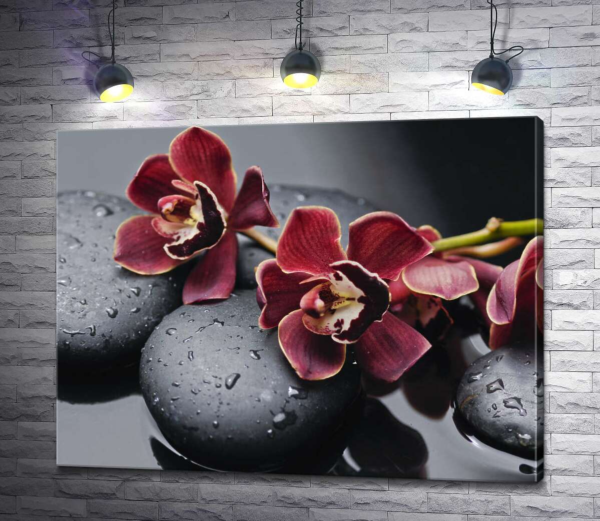 картина Бархатные цветы орхидей лежат на гладких камнях угольного цвета