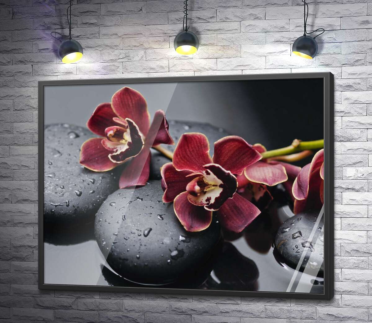 постер Оксамитові квіти орхідей лежать на гладкому камінні вугільного кольору
