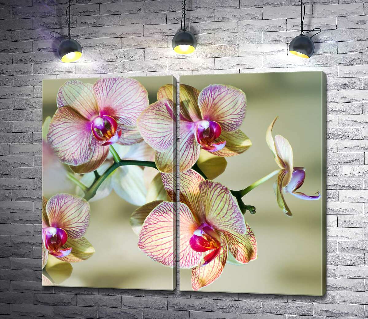 модульна картина Рожеві візерунки на жовтих пелюстках орхідей