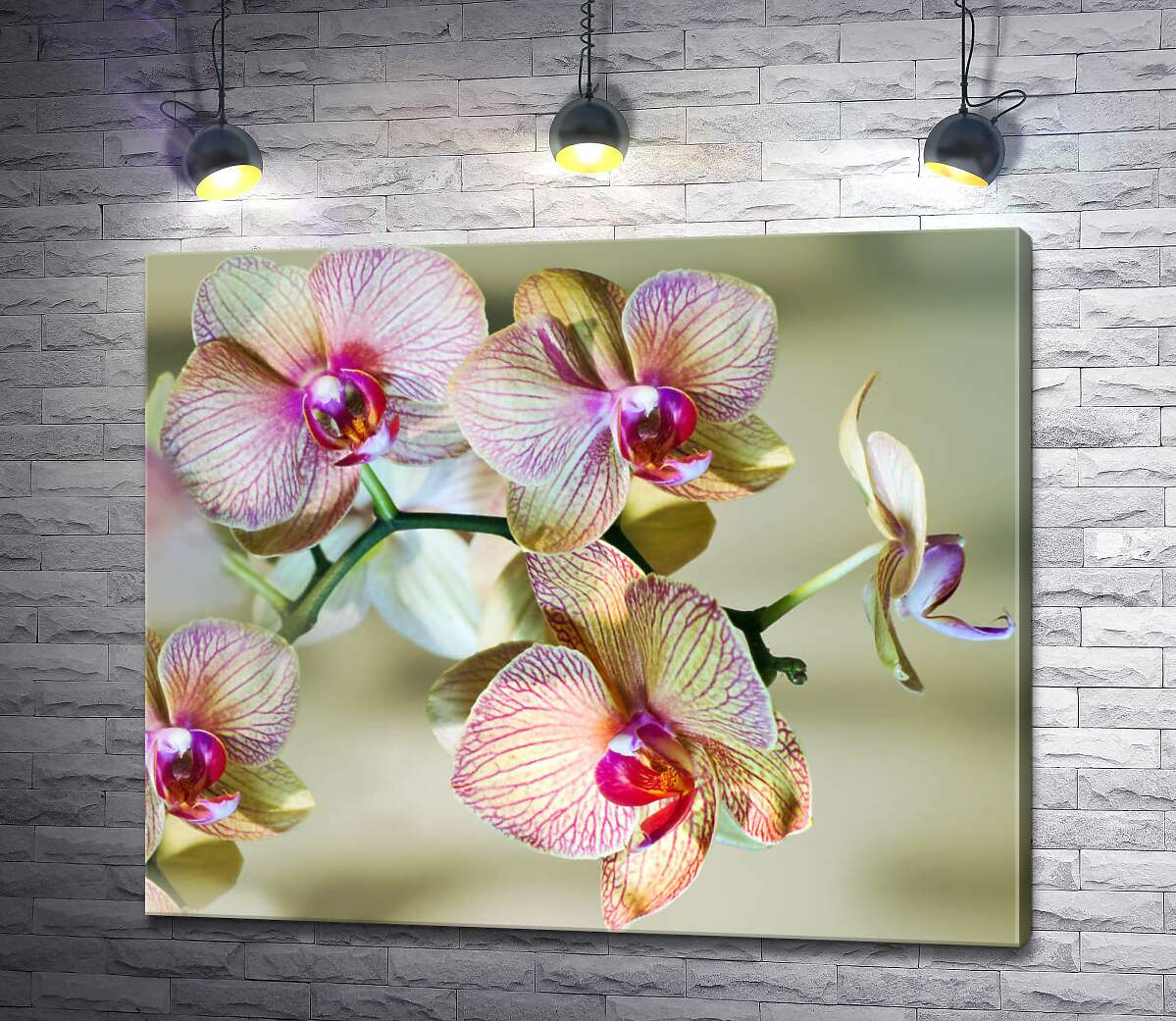 картина Розовые узоры на желтых лепестках орхидей