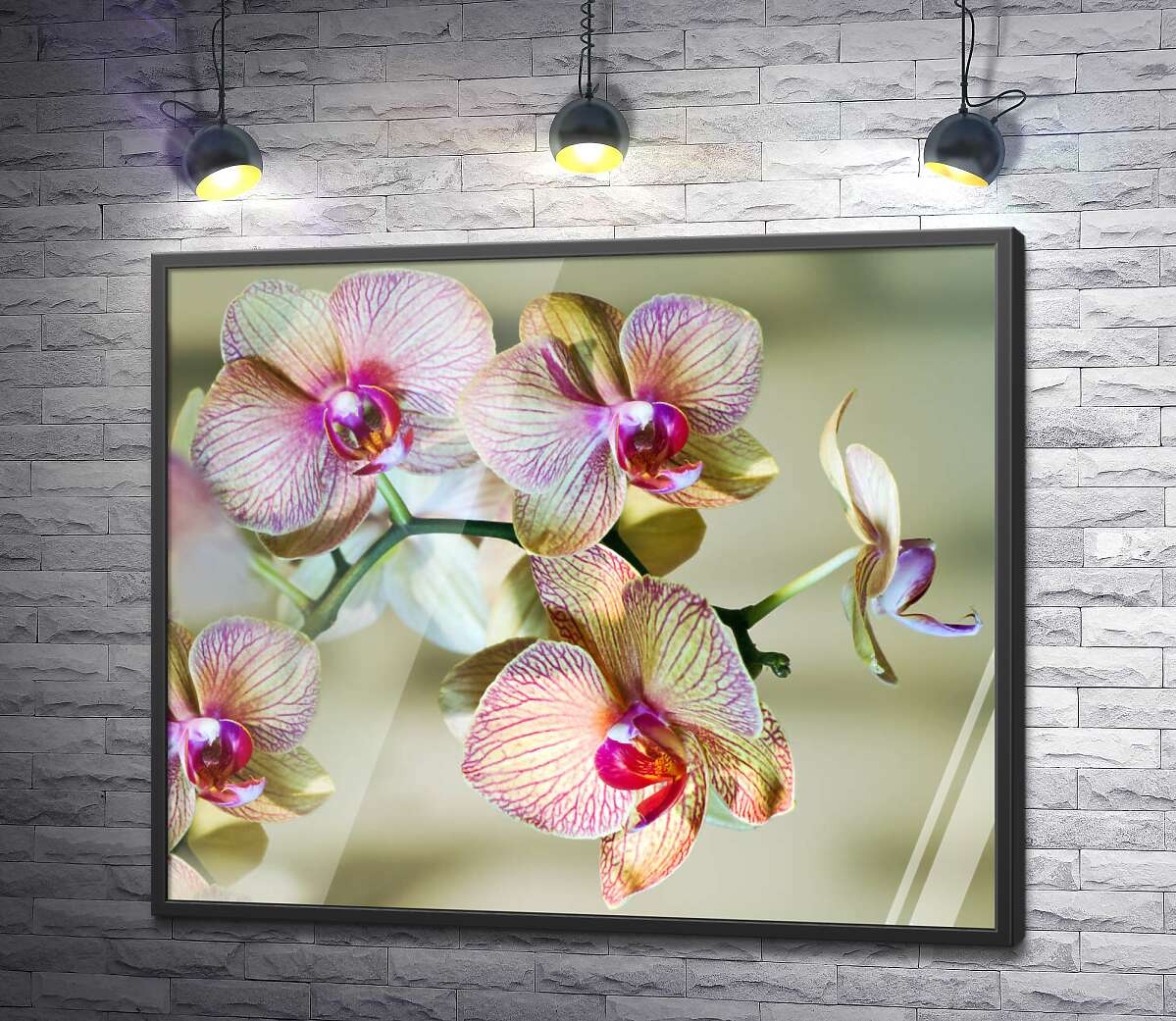 постер Розовые узоры на желтых лепестках орхидей