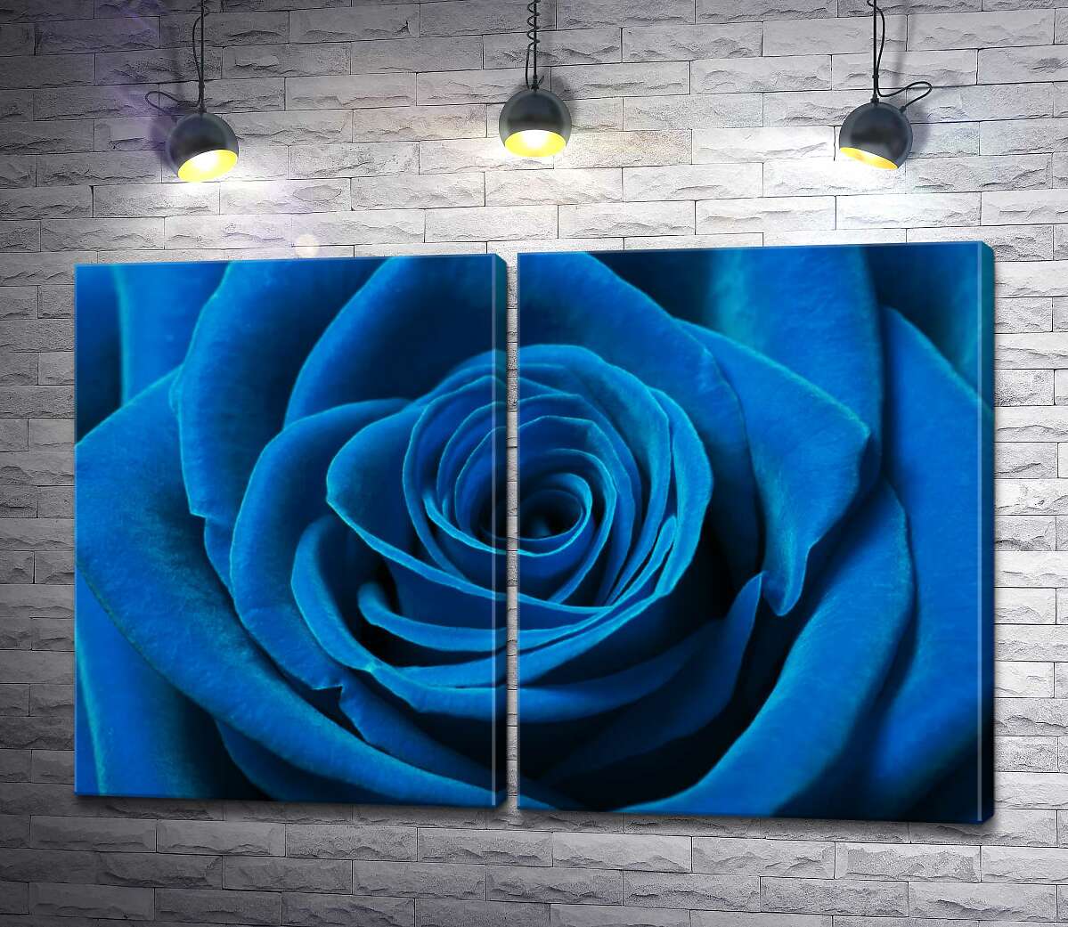 модульная картина Синий бархат лепестков розы